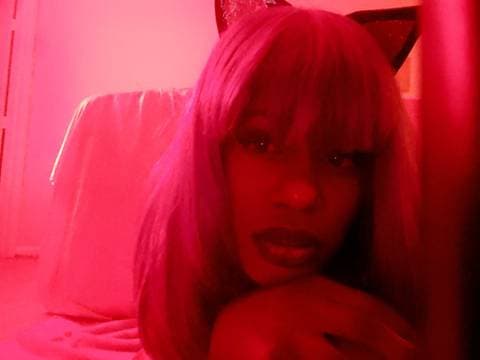 Cat Bitch OnlyFans – free nudes, naked, leaked