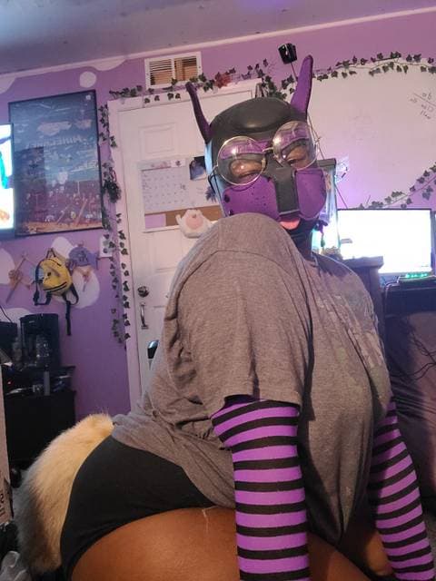 Dragon paws OnlyFans – free nudes, naked, leaked